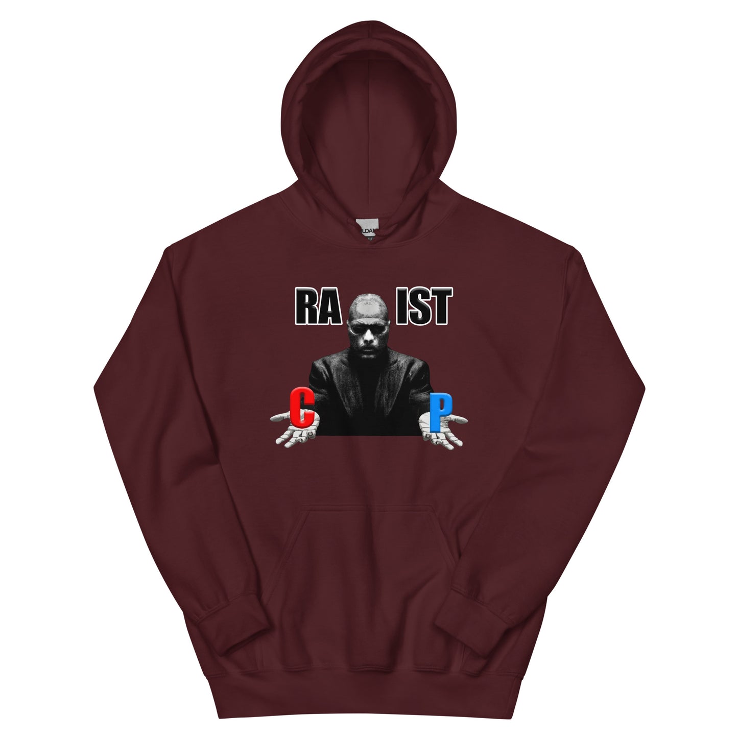RA_IST Hoodie